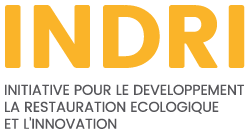 INDRI